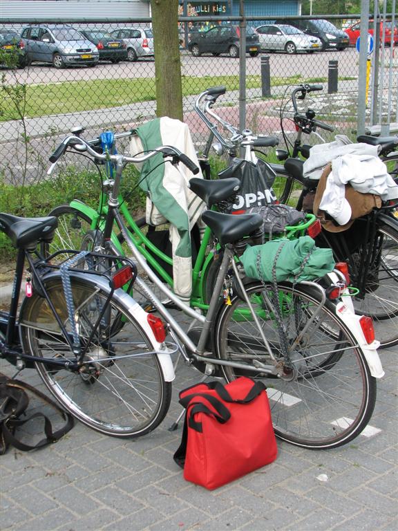 IMG_5936 (Large).jpg